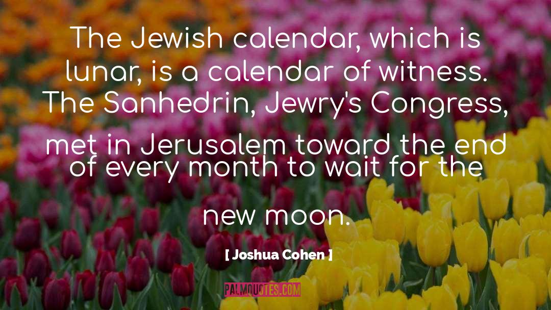 Funny Mayan Calendar quotes by Joshua Cohen