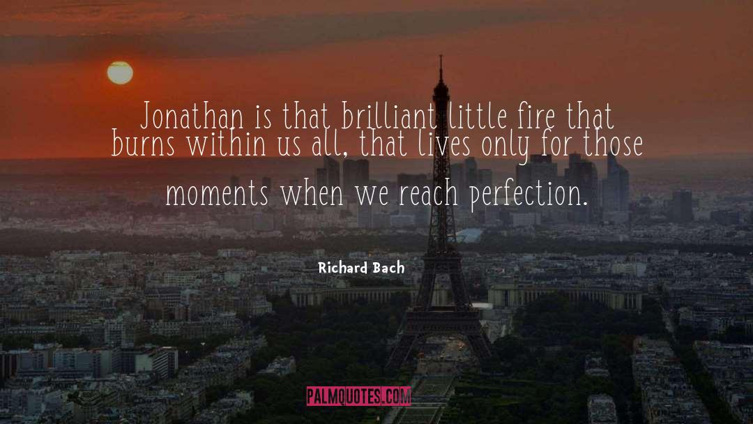 Funny Moments quotes by Richard Bach