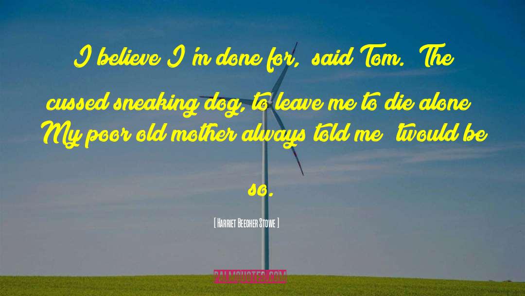 Funny Mother quotes by Harriet Beecher Stowe