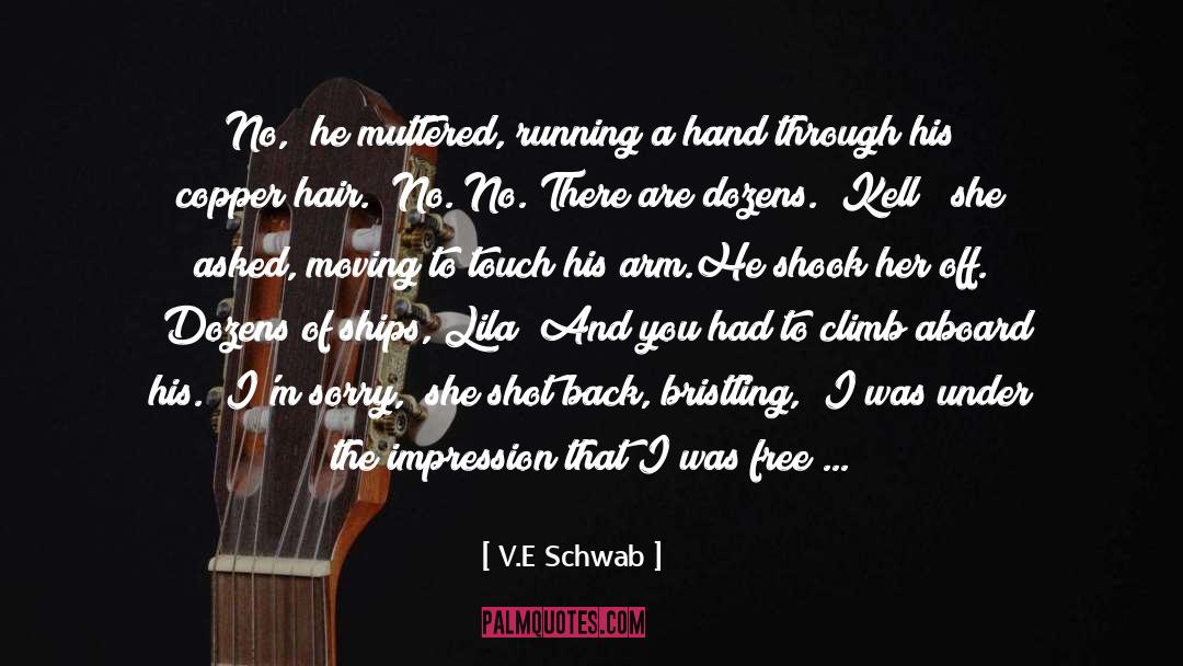 Funny Music quotes by V.E Schwab