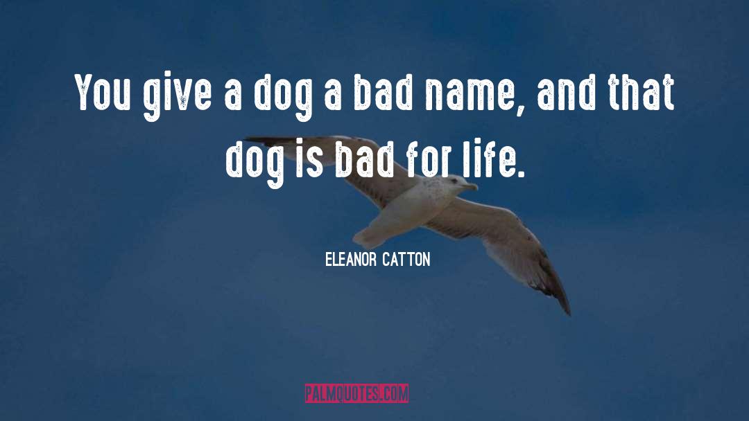 Funny Name quotes by Eleanor Catton