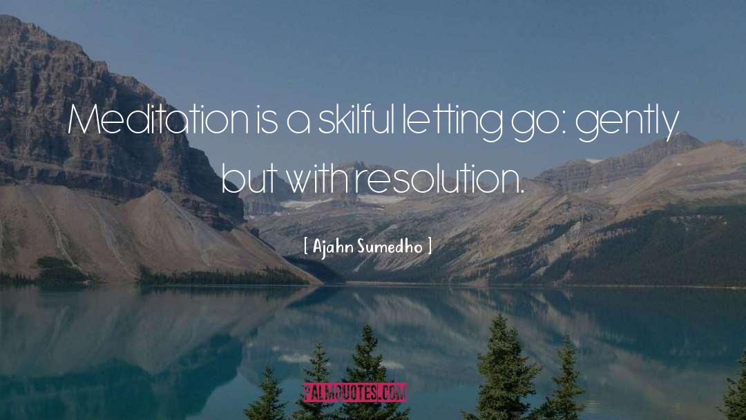 Funny New Resolution quotes by Ajahn Sumedho