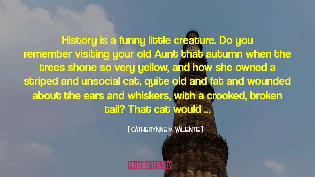 Funny Old Birthday quotes by Catherynne M. Valente