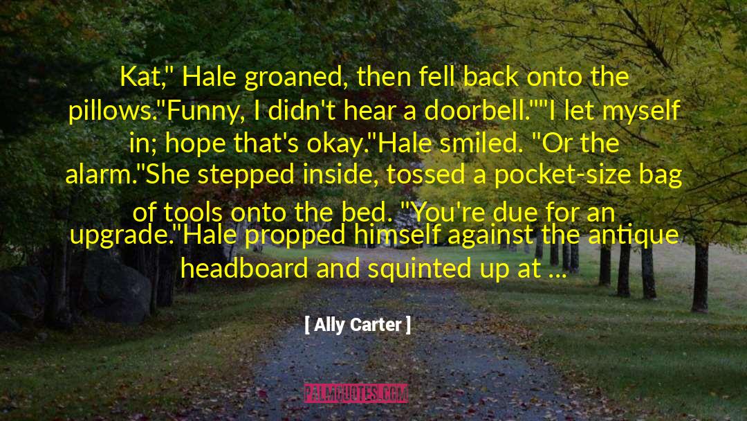 Funny Political quotes by Ally Carter