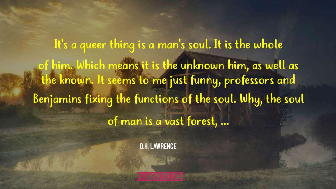 Funny Professors quotes by D.H. Lawrence