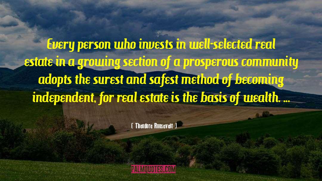 Funny Real Estate quotes by Theodore Roosevelt