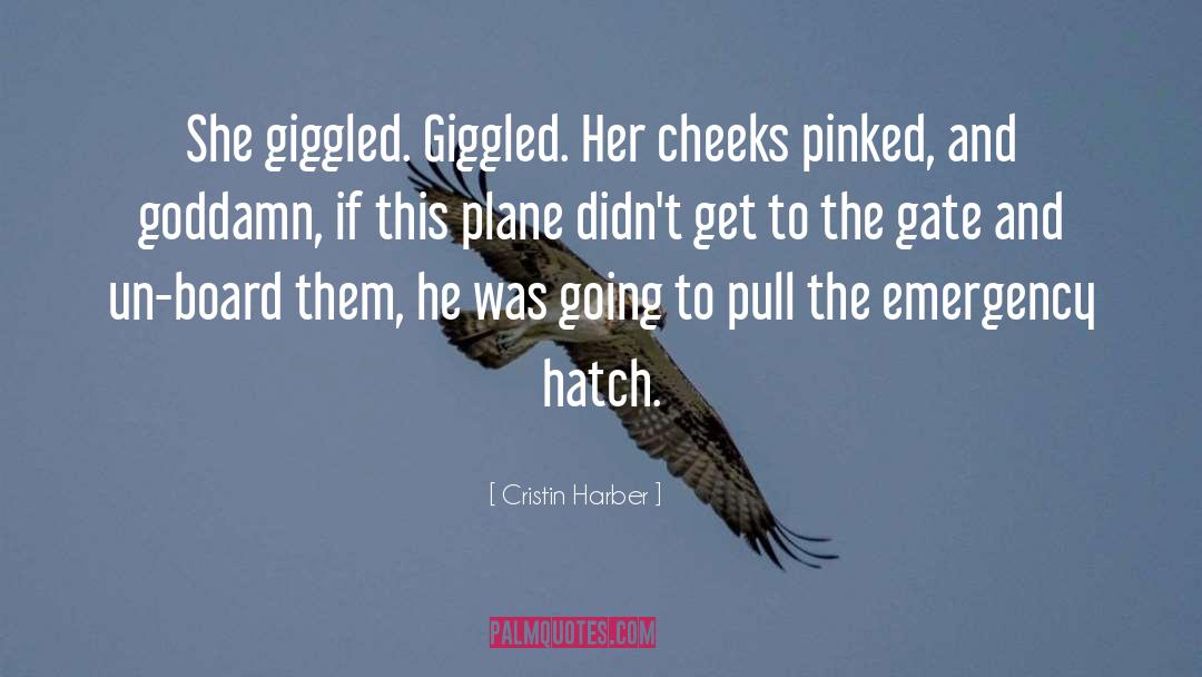 Funny Romance quotes by Cristin Harber