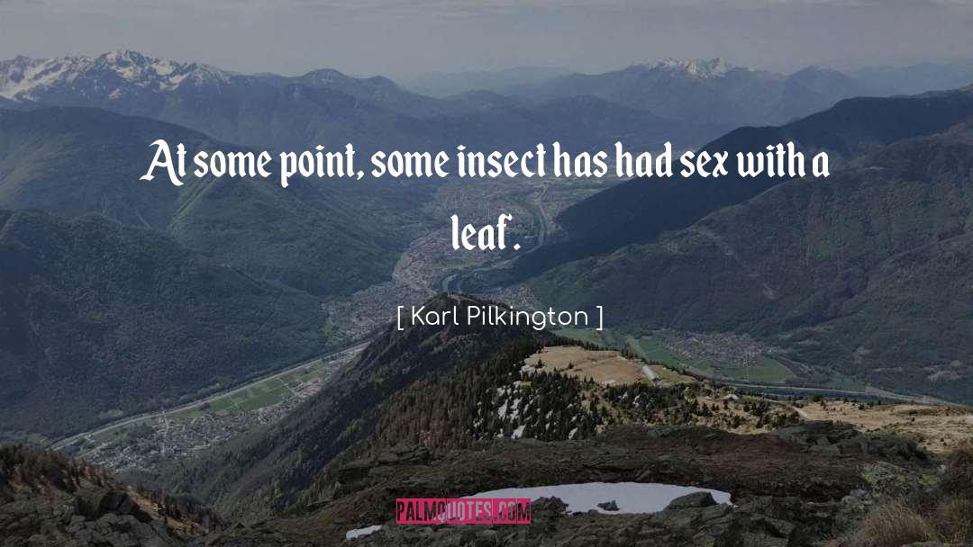 Funny Sex quotes by Karl Pilkington