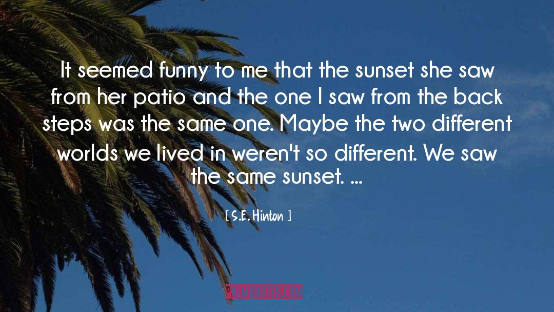 Funny Shahs Of Sunset quotes by S.E. Hinton