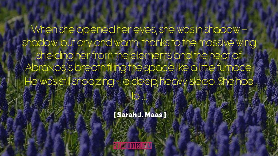 Funny Sleep quotes by Sarah J. Maas