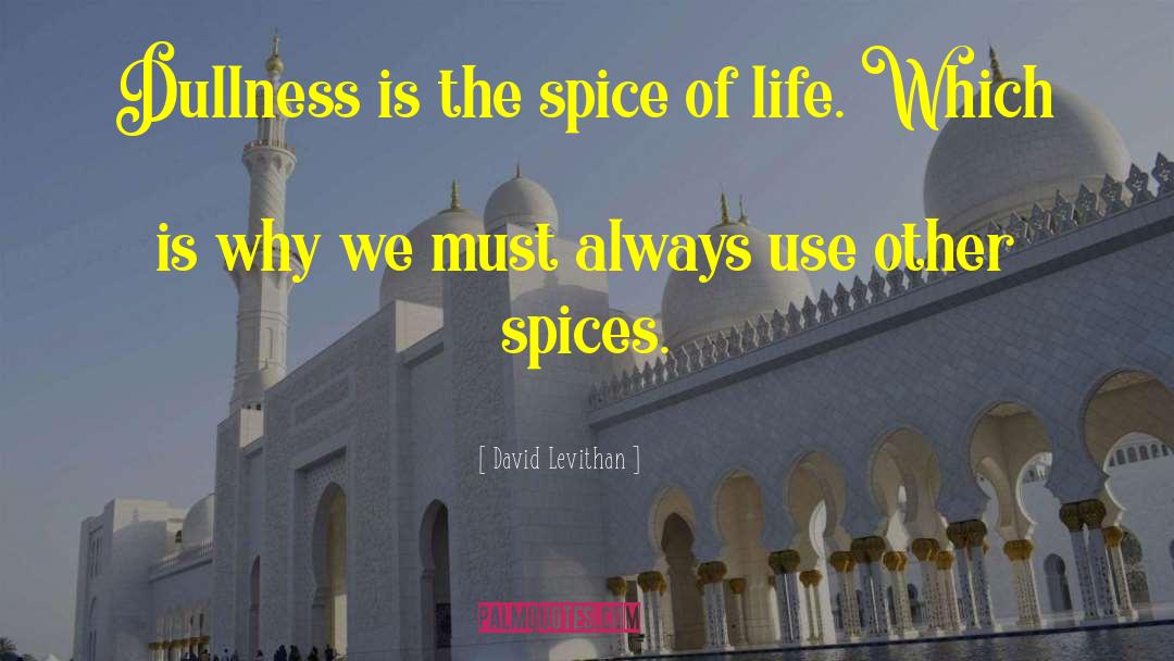 Funny Spice quotes by David Levithan