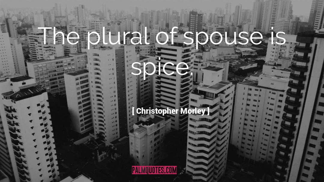 Funny Spice quotes by Christopher Morley