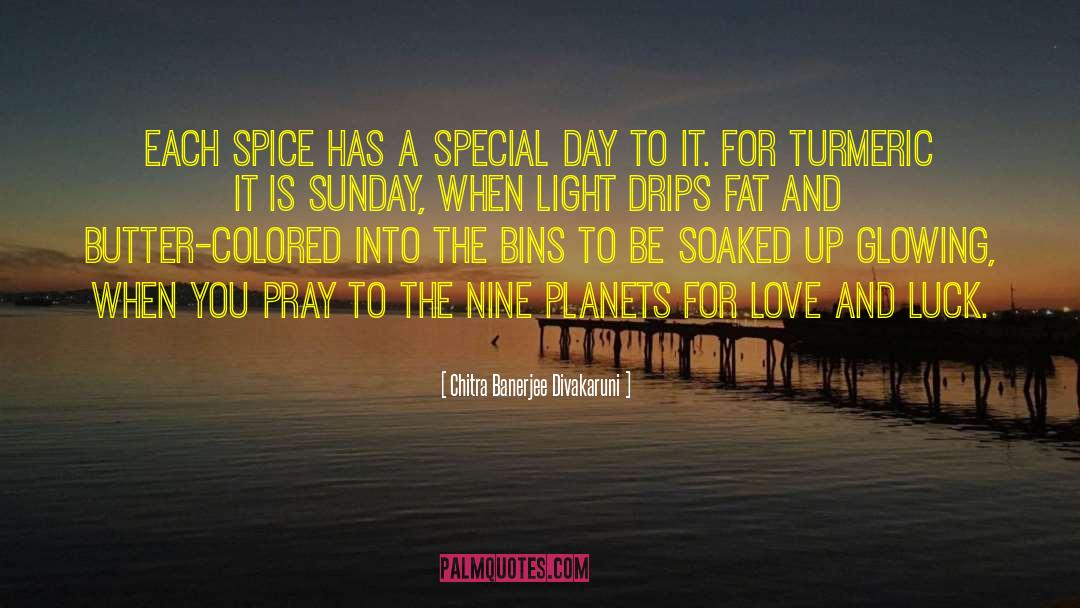 Funny Spice quotes by Chitra Banerjee Divakaruni