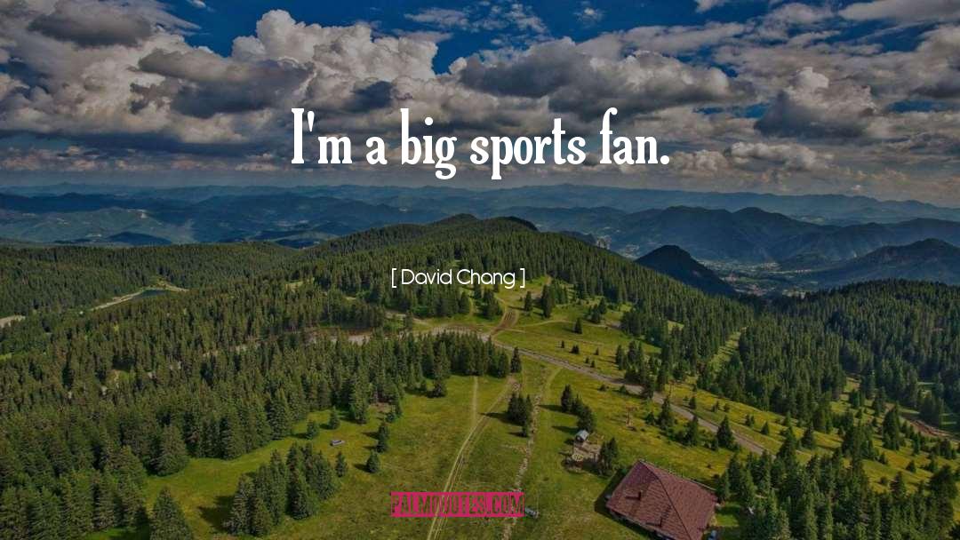 Funny Sports quotes by David Chang