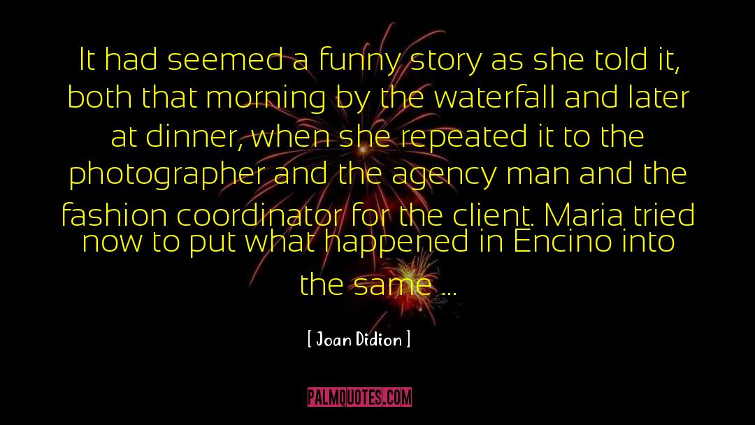 Funny Story quotes by Joan Didion