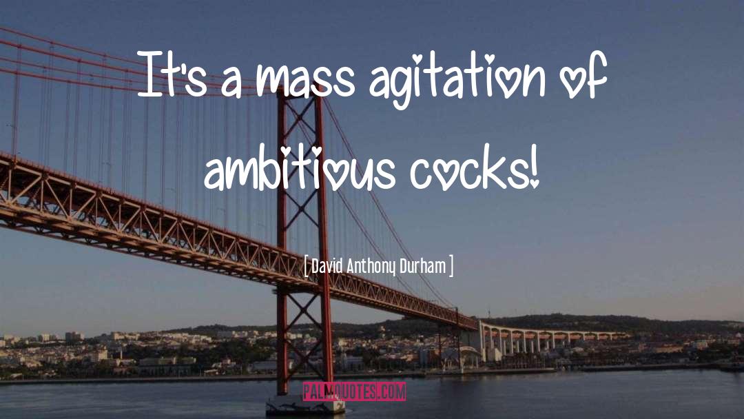 Funny Stuff quotes by David Anthony Durham