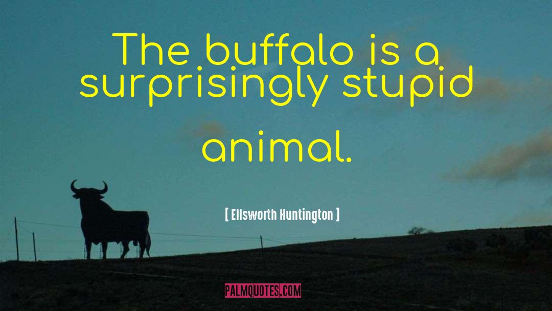 Funny Stupid Driver quotes by Ellsworth Huntington
