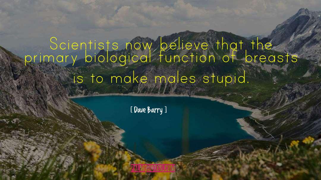 Funny Stupid Driver quotes by Dave Barry