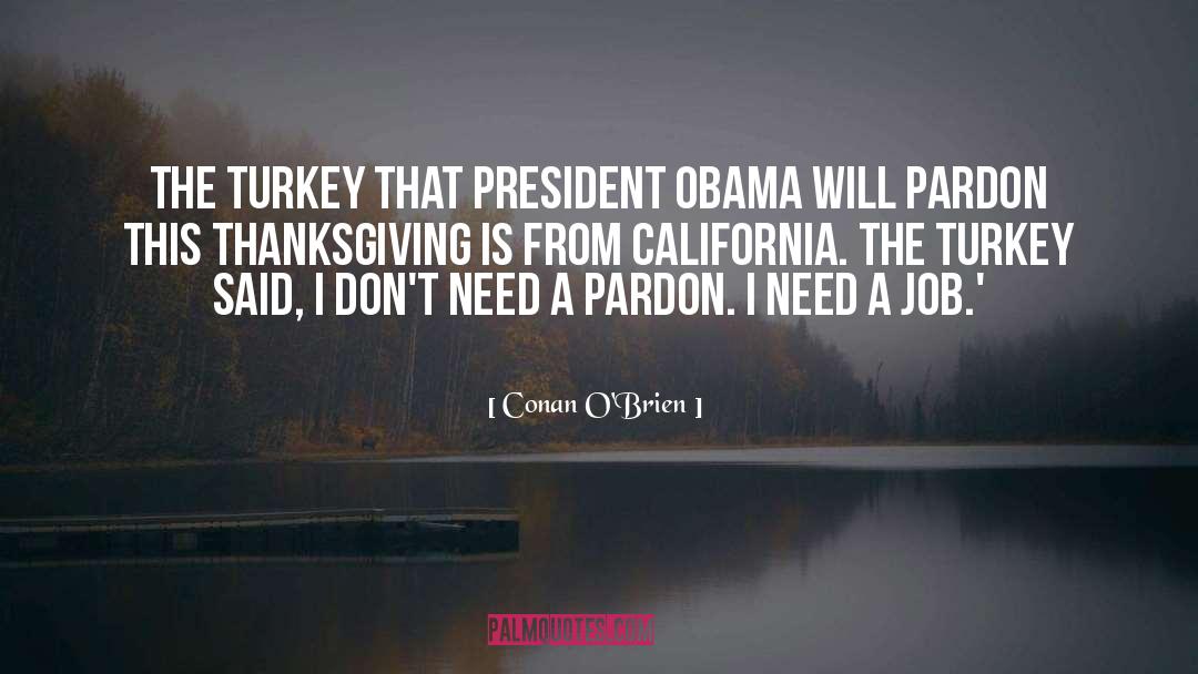 Funny Thanksgiving quotes by Conan O'Brien