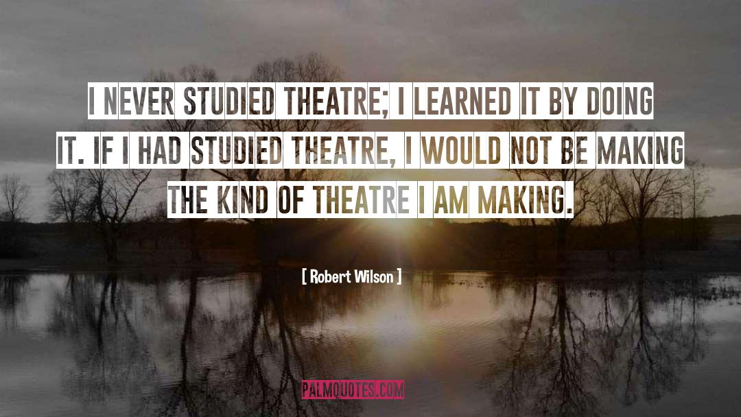Funny Theatre Techie quotes by Robert Wilson