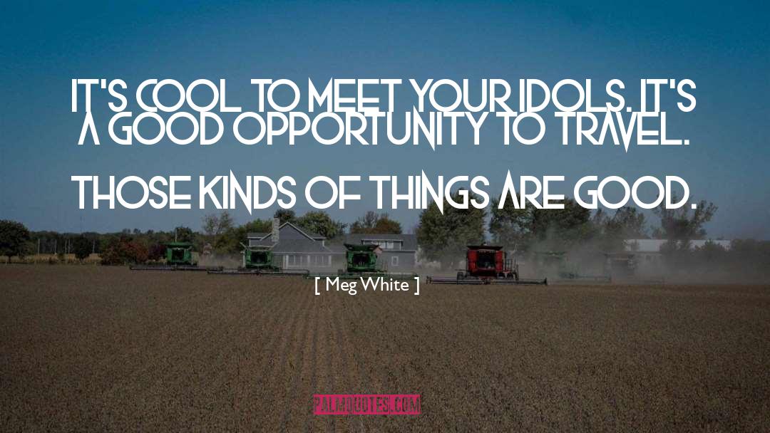 Funny Travel quotes by Meg White