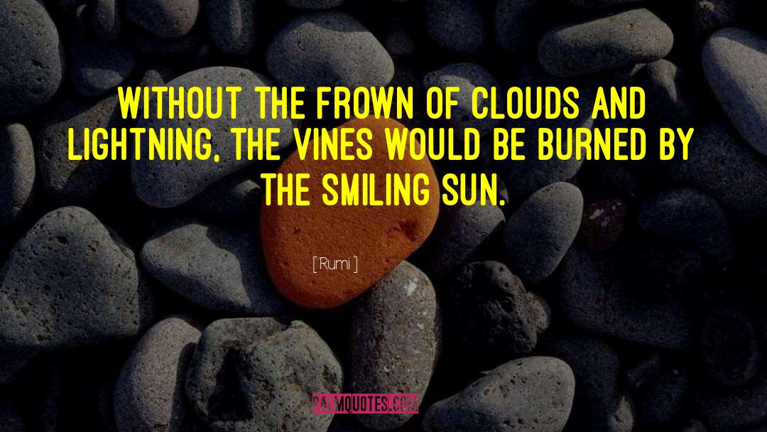 Funny Vines To quotes by Rumi