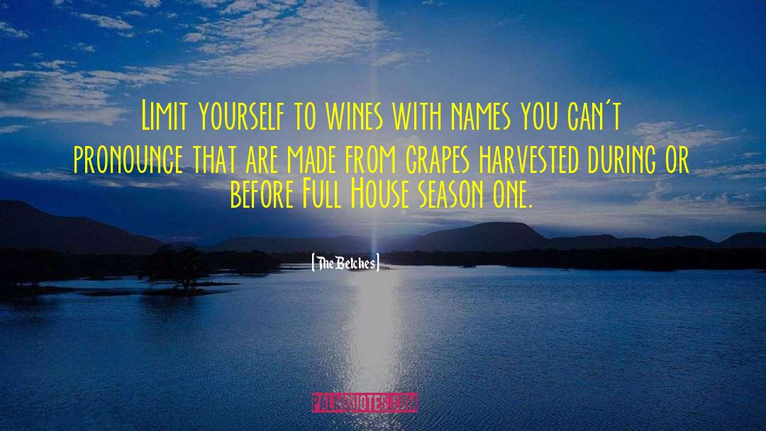 Funny Wines quotes by The Betches