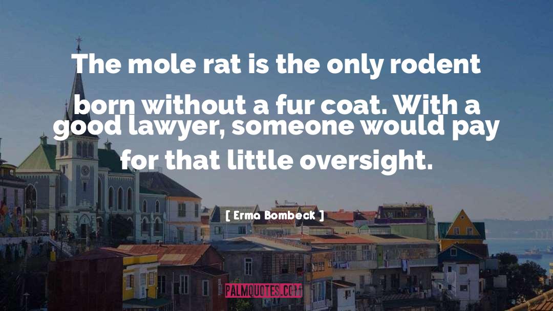 Fur Coat quotes by Erma Bombeck