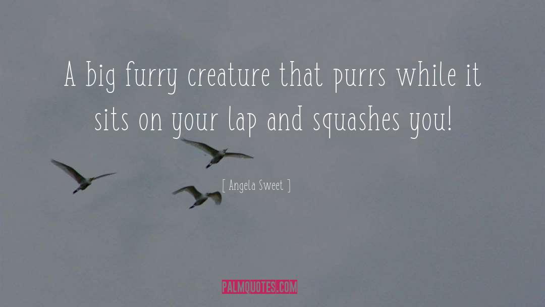 Furry quotes by Angela Sweet