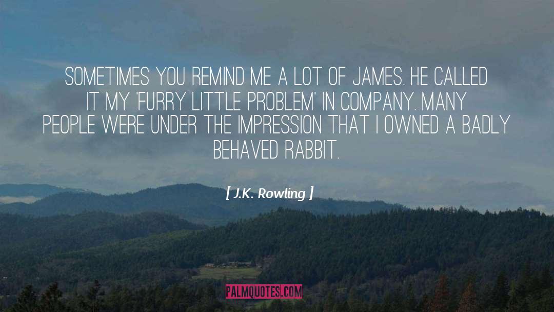 Furry quotes by J.K. Rowling