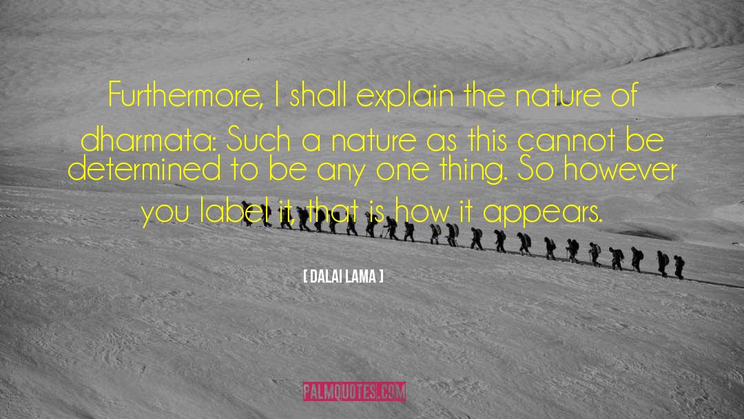Furthermore quotes by Dalai Lama