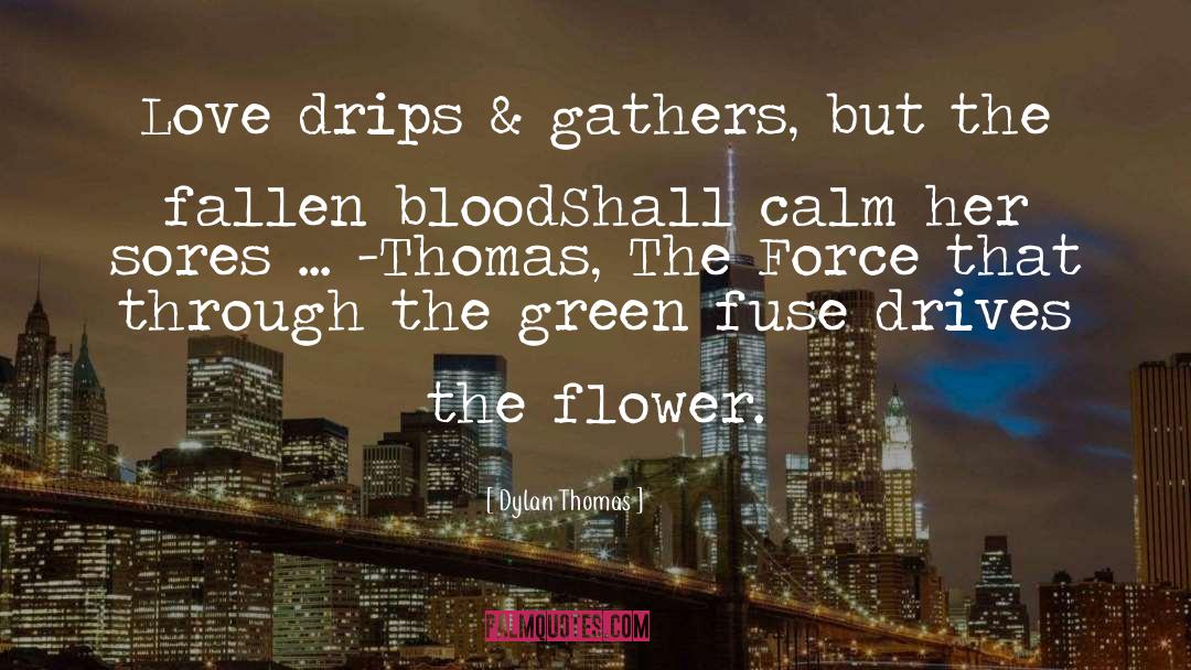 Fuse quotes by Dylan Thomas