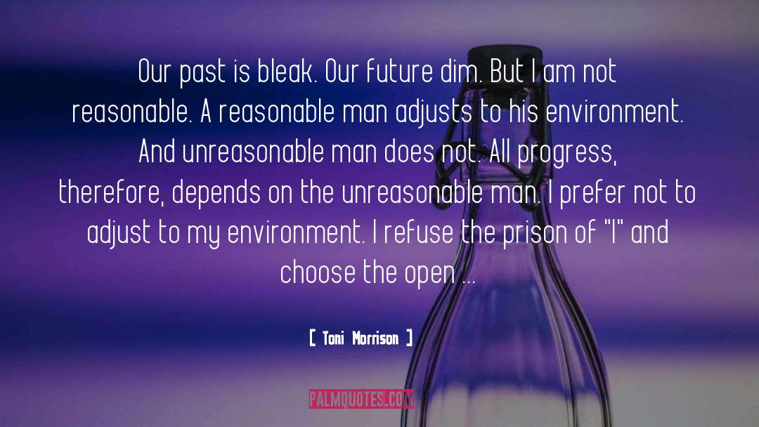 Future Depends On Stories quotes by Toni Morrison