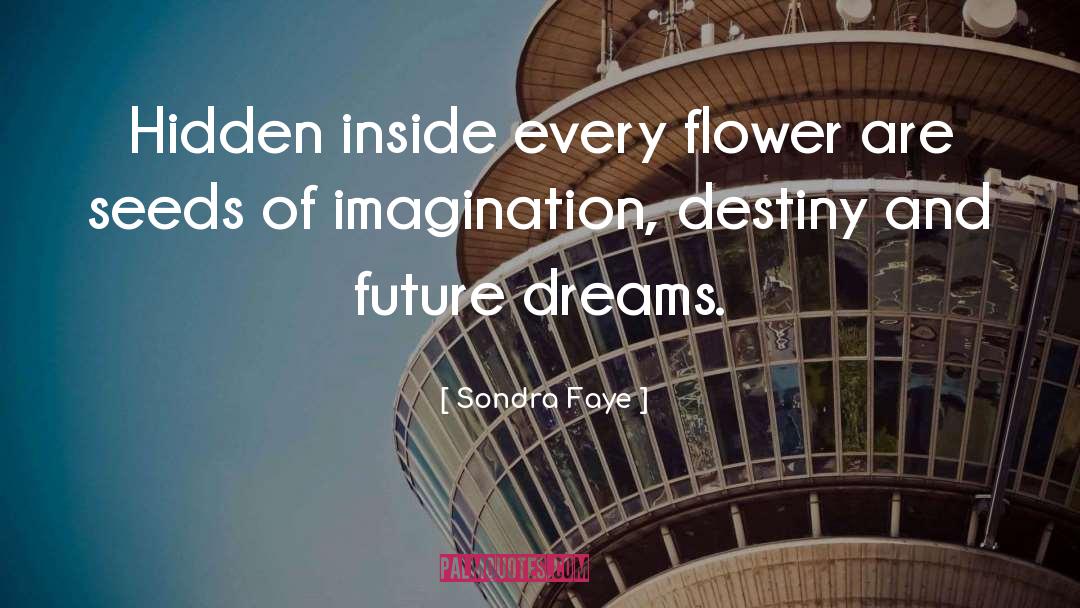 Future Dreams quotes by Sondra Faye