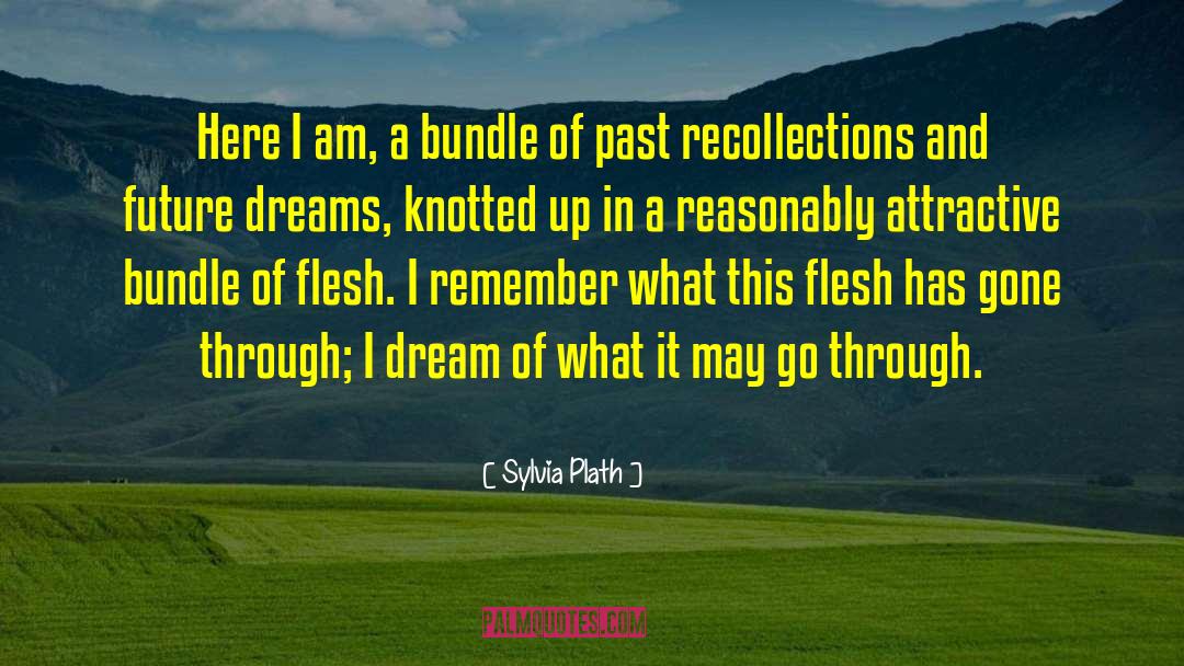 Future Dreams quotes by Sylvia Plath