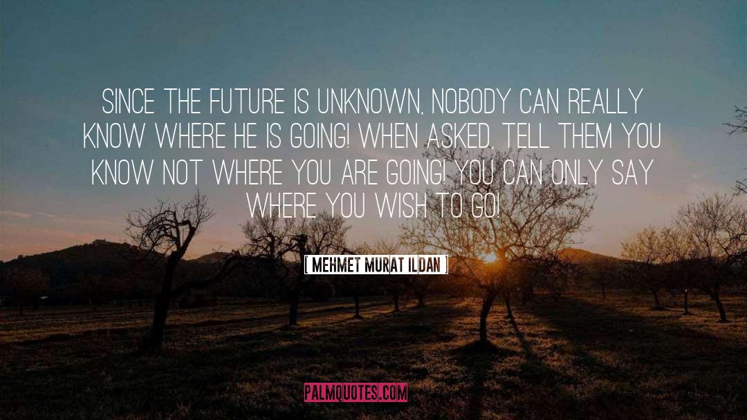 Future Is Uncertain quotes by Mehmet Murat Ildan