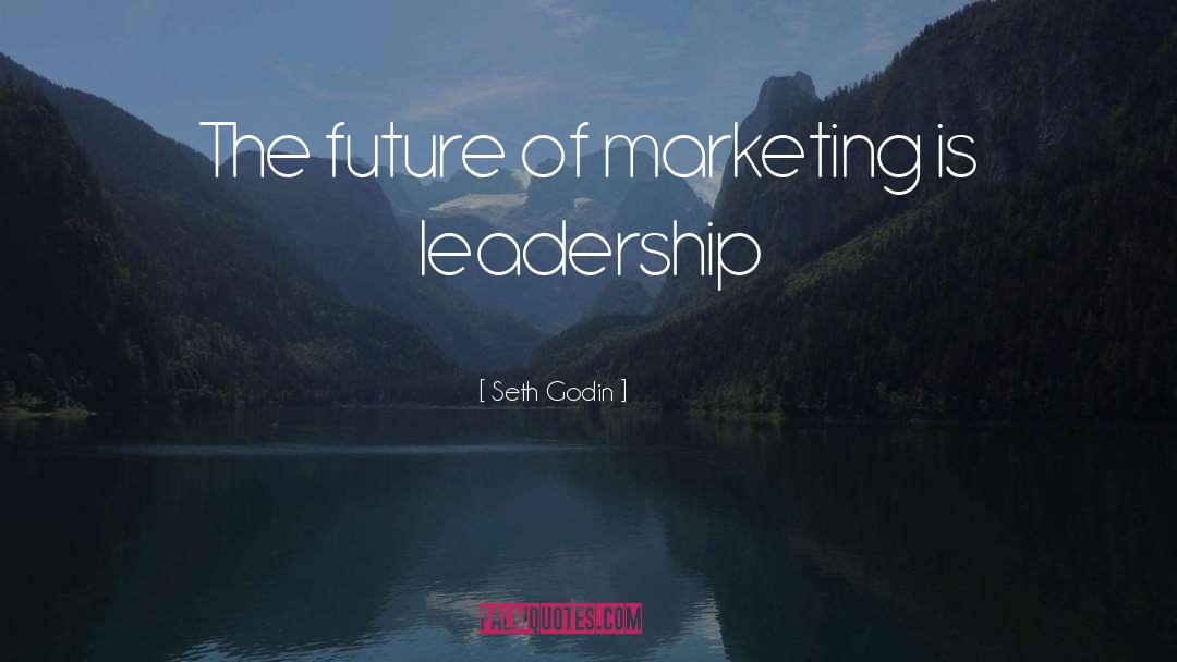 Future Leadership Institute quotes by Seth Godin