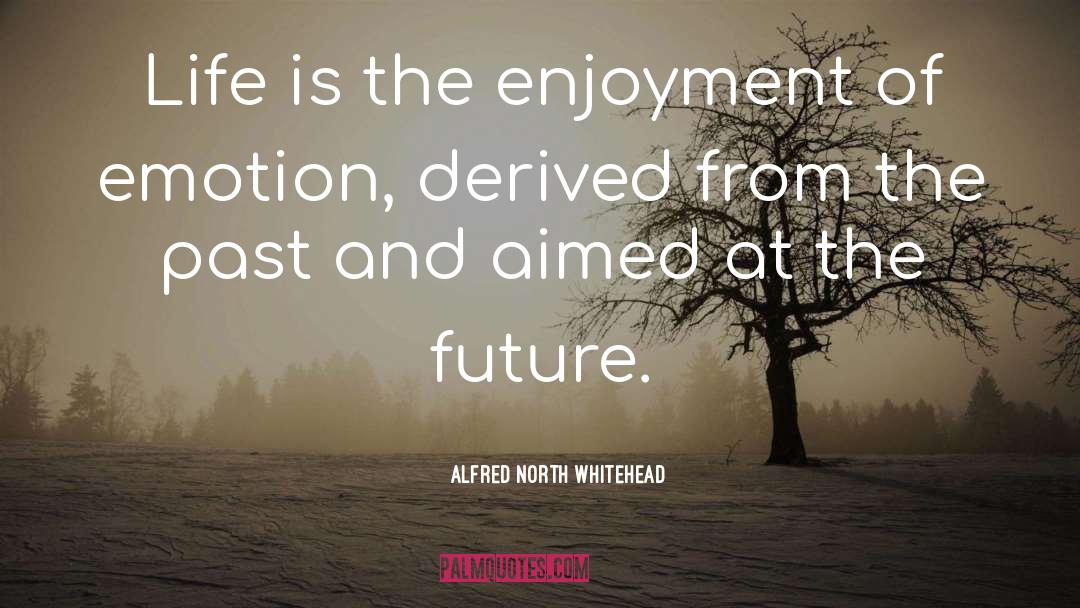 Future Life quotes by Alfred North Whitehead