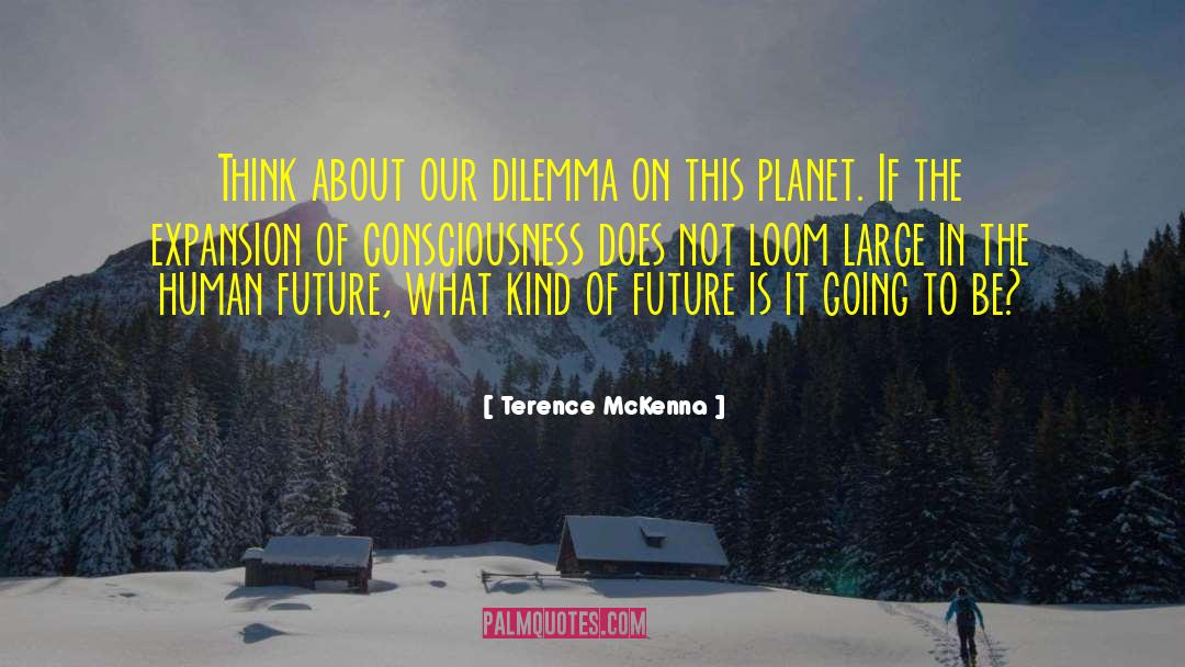 Future Of Mankind quotes by Terence McKenna