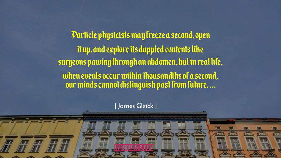Future Past quotes by James Gleick
