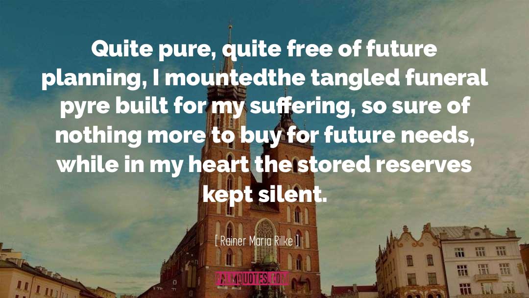 Future Planning quotes by Rainer Maria Rilke