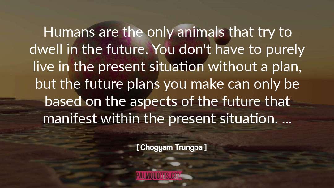 Future Plans quotes by Chogyam Trungpa