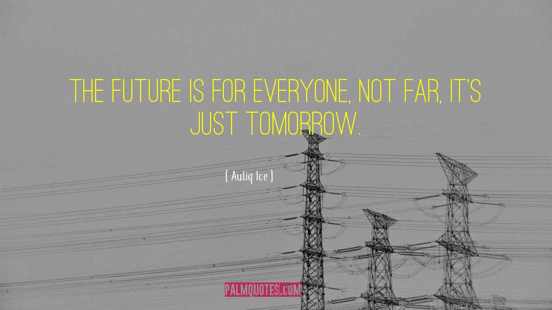 Future Plans quotes by Auliq Ice