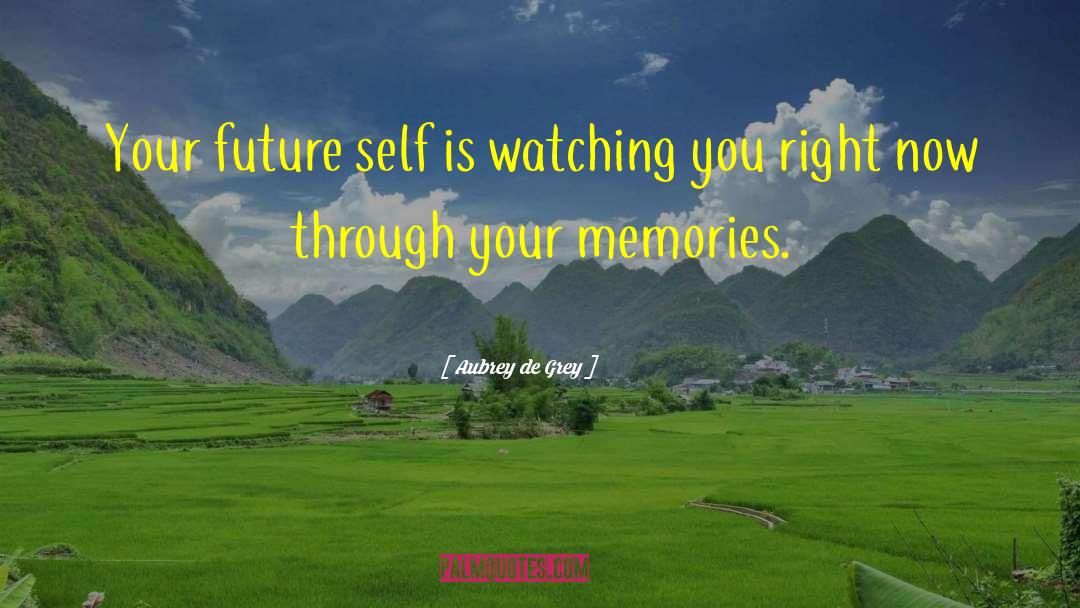 Future Self quotes by Aubrey De Grey