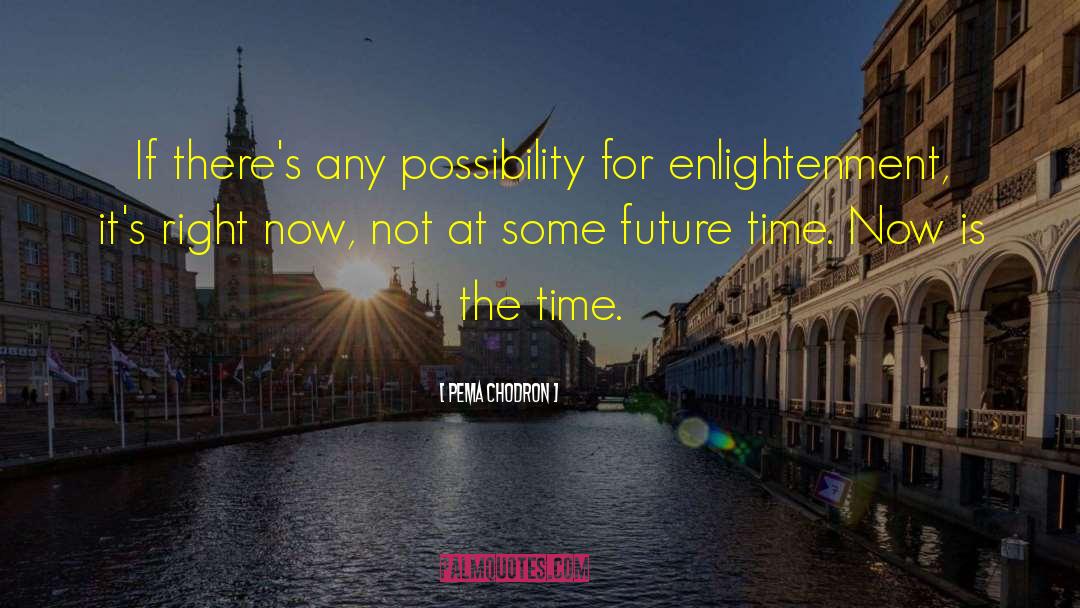 Future Time quotes by Pema Chodron