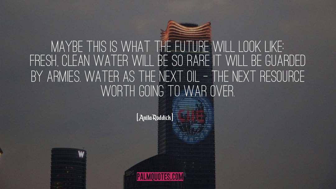 Future Will Be Brighter quotes by Anita Roddick