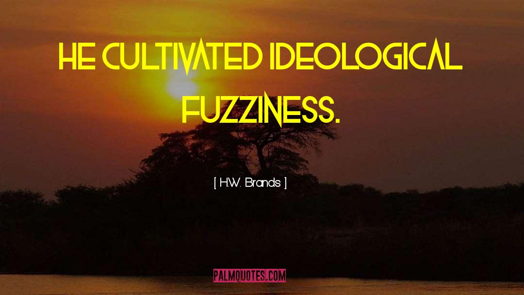 Fuzziness quotes by H.W. Brands