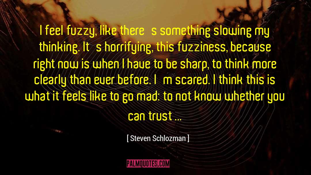 Fuzziness quotes by Steven Schlozman