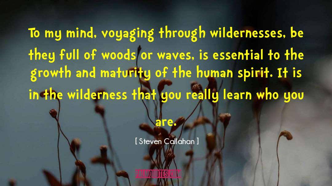 Gabbart And Woods quotes by Steven Callahan