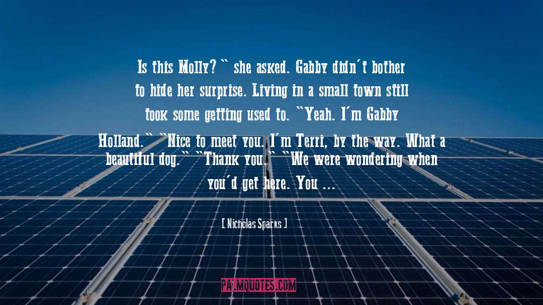 Gabby quotes by Nicholas Sparks